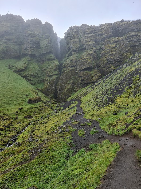 Rauðfeldsgjá Gorge 5