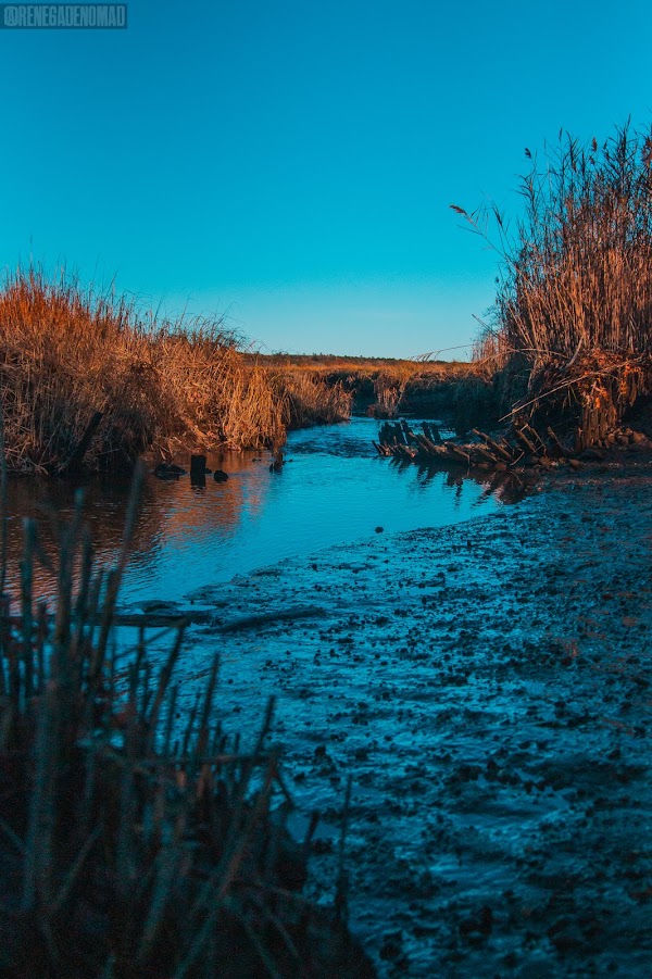 Scorton Creek