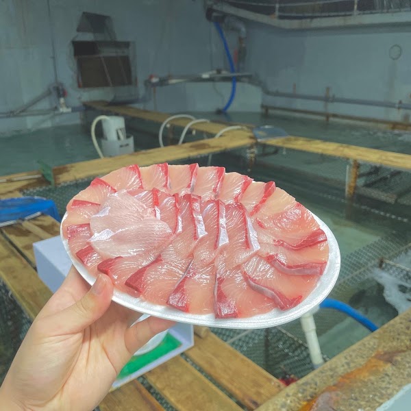 용수산회포장 4