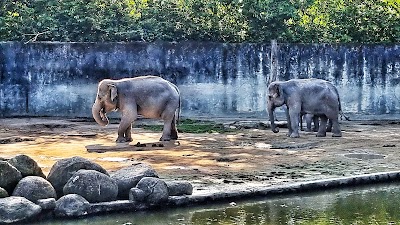 Taiping Zoo & Night Safari