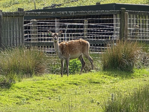 Red Deer Range 3