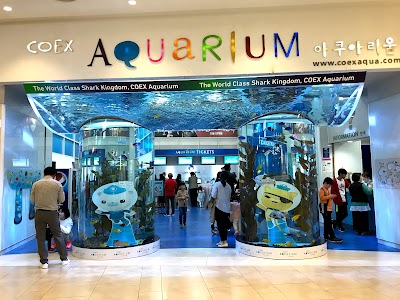 Coex Aquarium 2