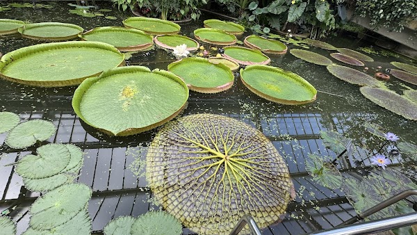 Royal Botanic Gardens 6