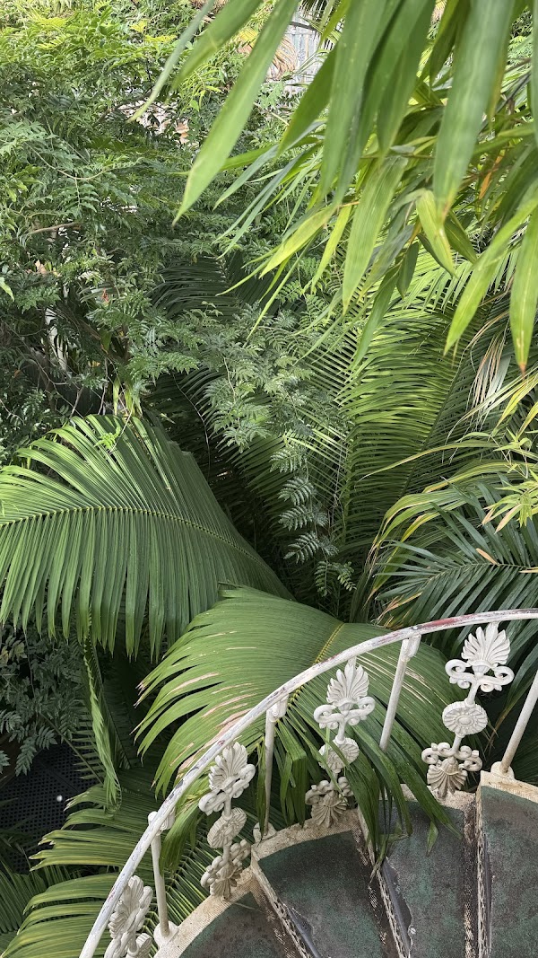 Royal Botanic Gardens 4