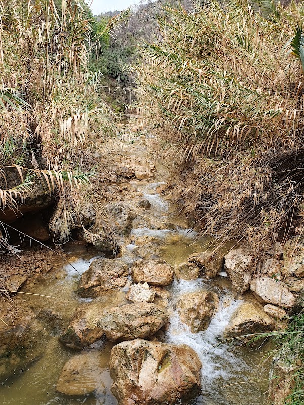 Israel 23