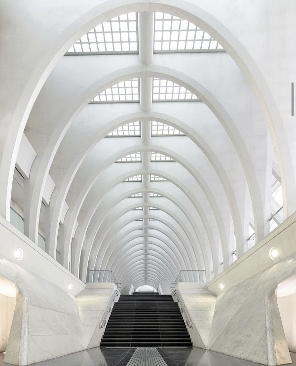 Guillemins 4