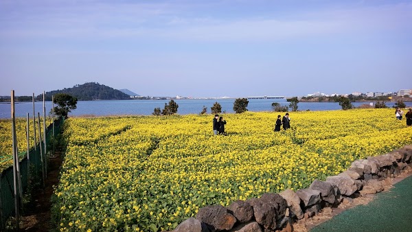 Seongsan-eup 2