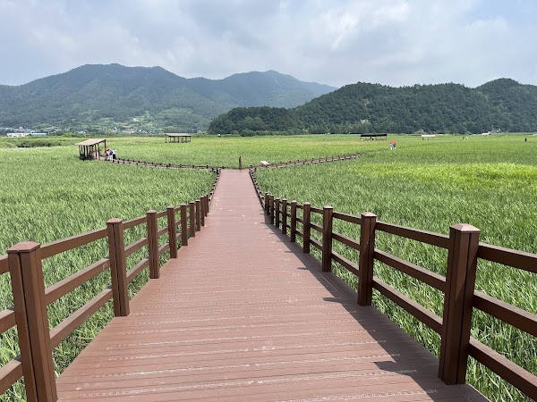 Suncheon Bay Nature Reserve 5