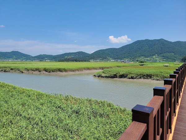 Suncheon Bay Nature Reserve 4