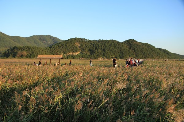 Suncheon Bay Nature Reserve 2