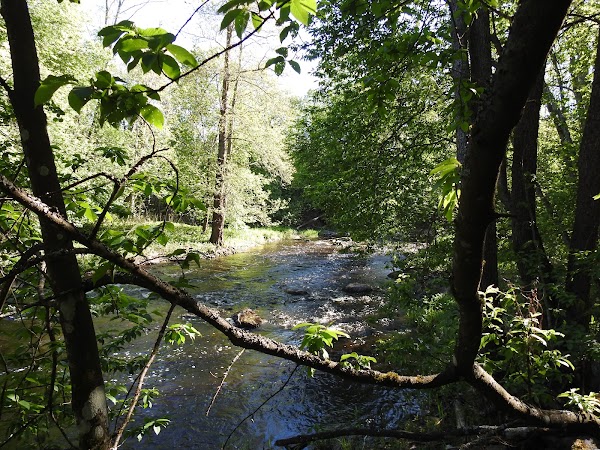 Kaasmarkunjoki 1