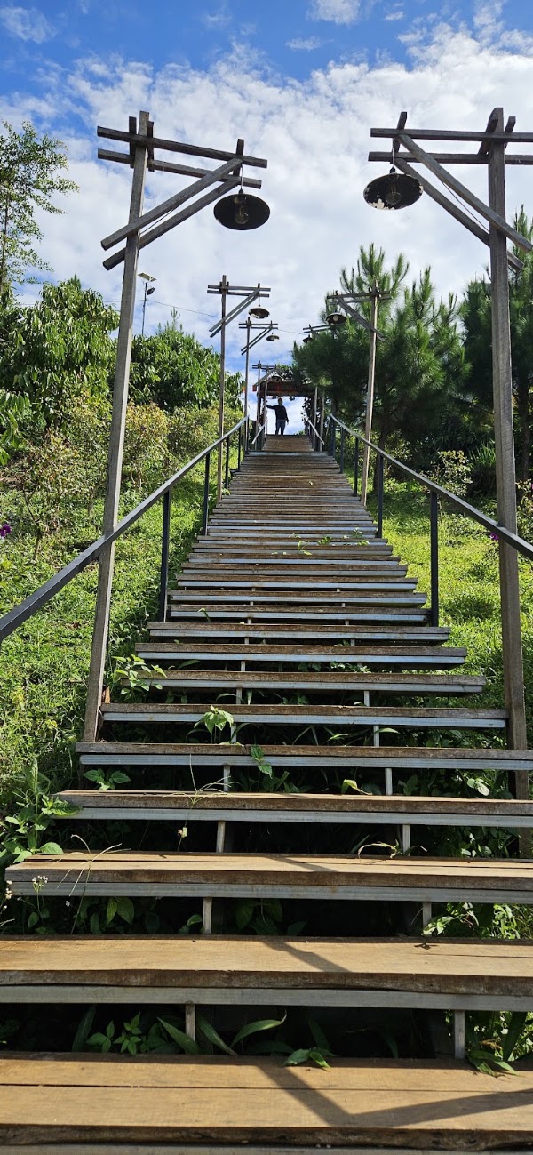 Thác Cây Cau Bảo Lộc 5