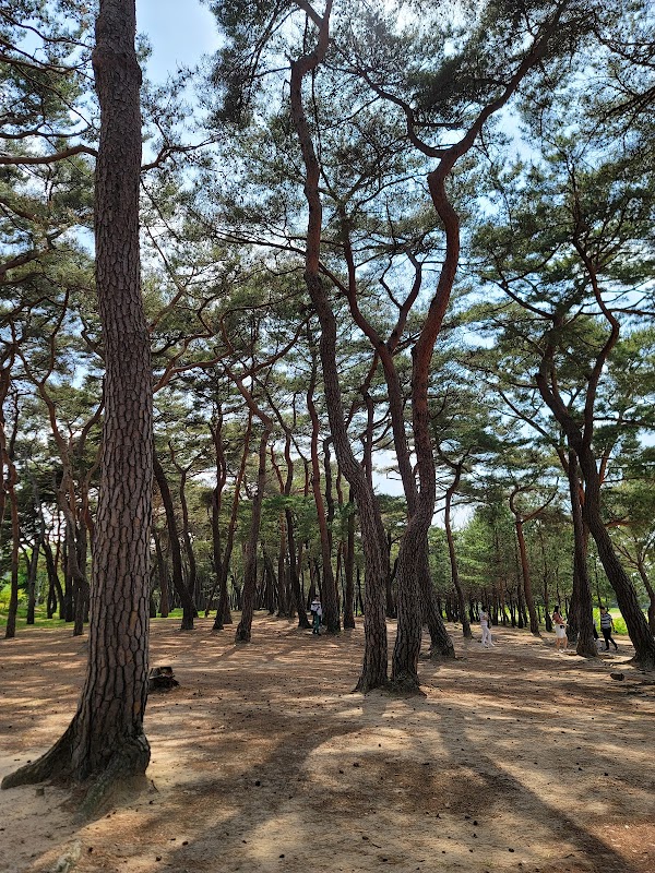 Mansongjeong 1