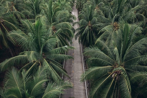 Ko Pha Ngan 3