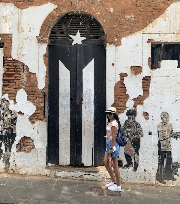 Puerto Rican Flag Door