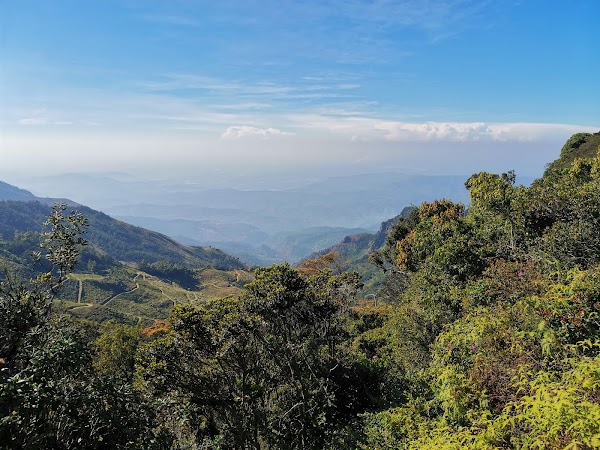 Horton Plains National Park 5