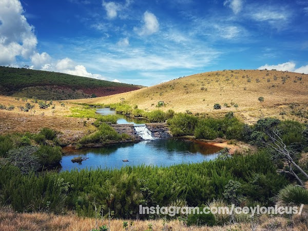 Horton Plains National Park 3