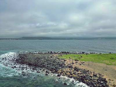 Jeju 95