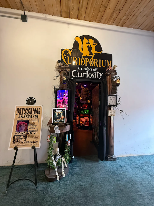 Curioporium 1
