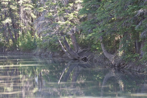 Griffith Woods Park 1