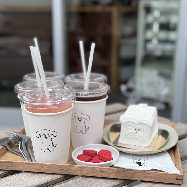 Kitten coffee 5