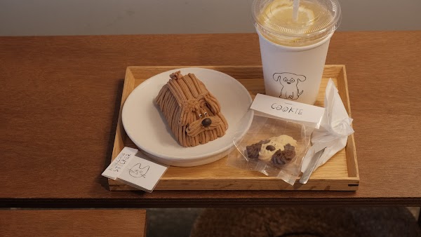 Kitten coffee 4