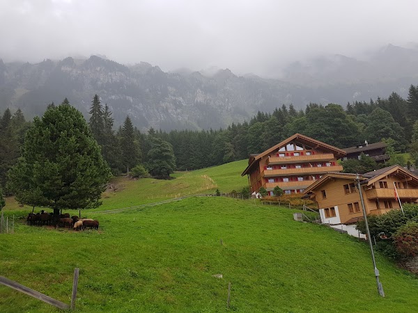 Internationale Lauberhornrennen Wengen 3