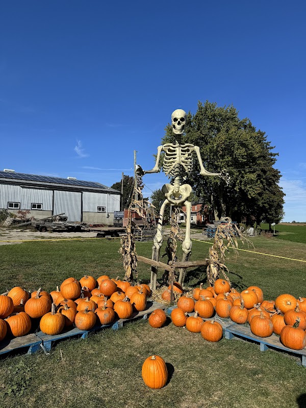 Downey's Big Apple Farm