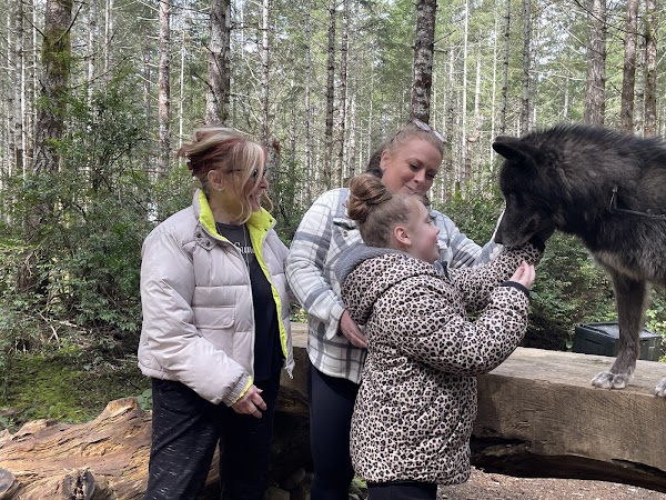 Roam Wolfdog Sanctuary 3