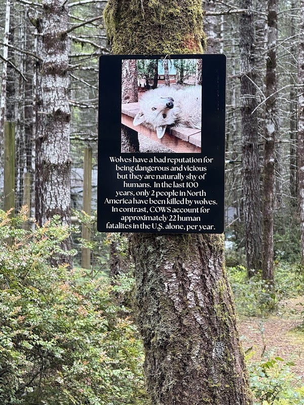 Roam Wolfdog Sanctuary 2