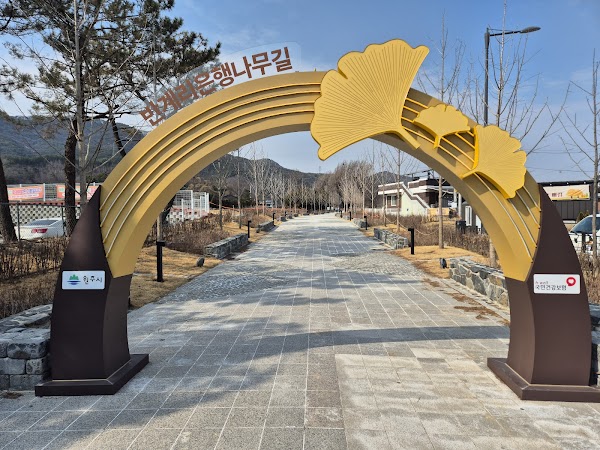 Ginkgo Tree in Bangye-ri 3