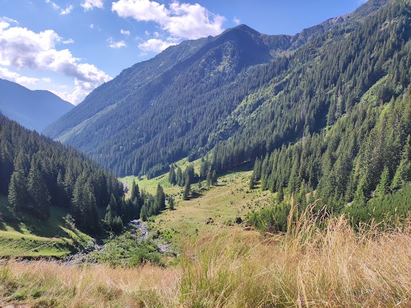 Valea Rea