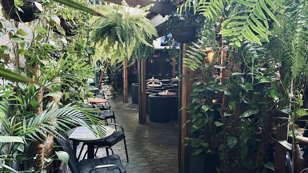 Caffe Zaćmienie bar 1