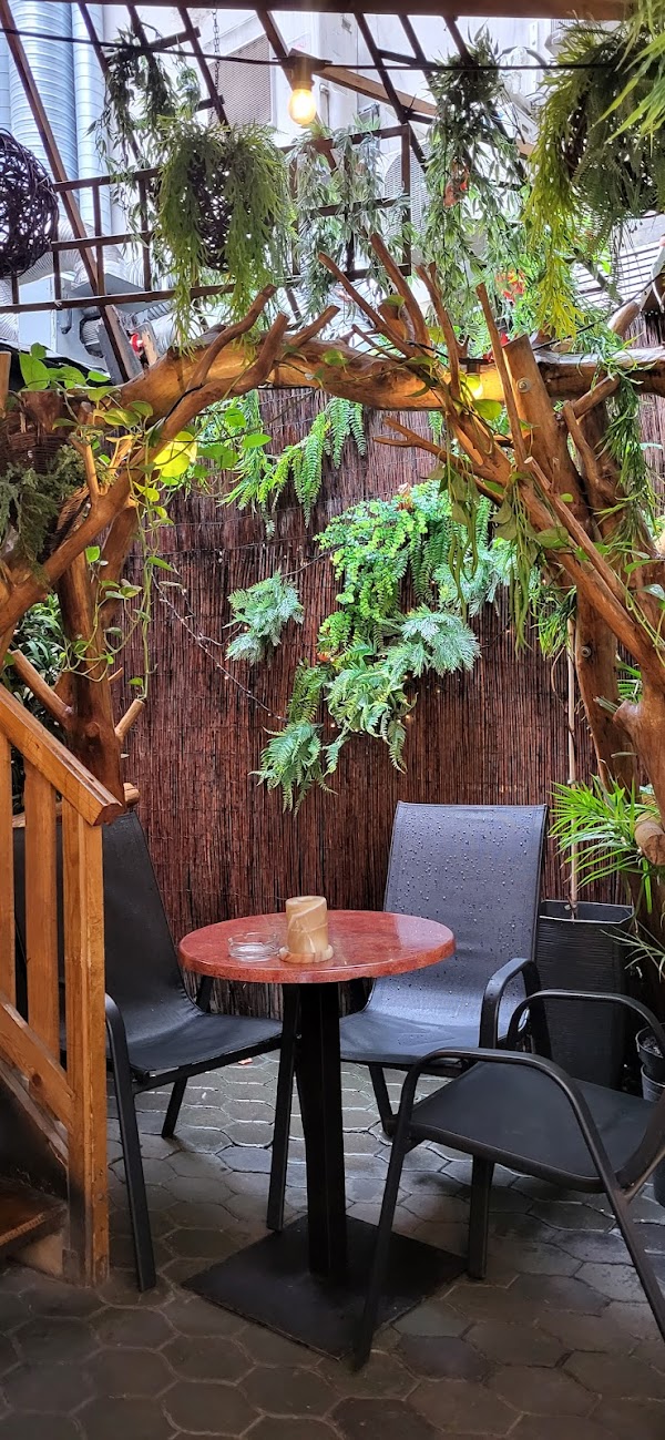 Caffe Zaćmienie bar 3