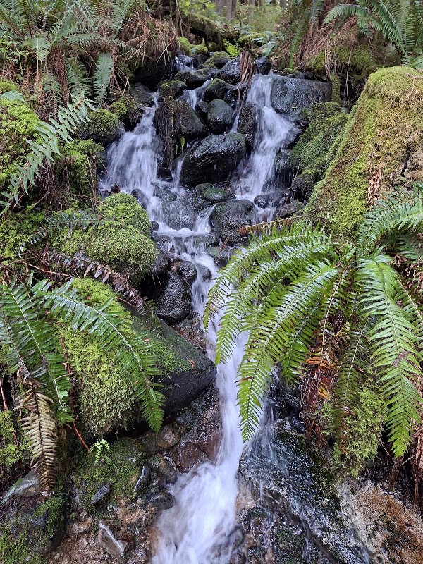 Mamquam Falls 2