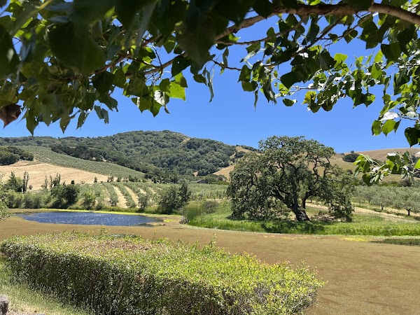 McEvoy Ranch 5