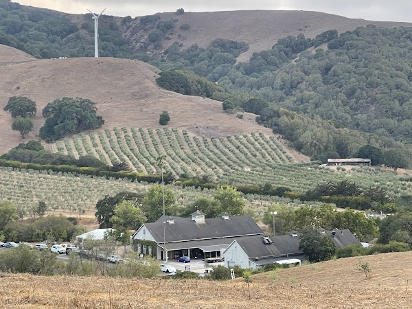 McEvoy Ranch 4