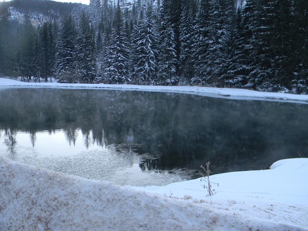 Spearfish 5