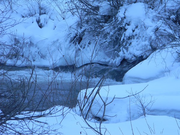 Spearfish 4