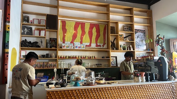 Alegría Café / Specialty Coffee Shop 1