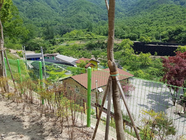 Wanju-gun 4