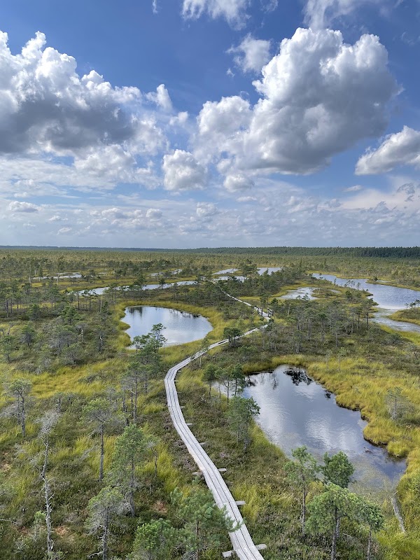 Start of the Kemeri Bog walk