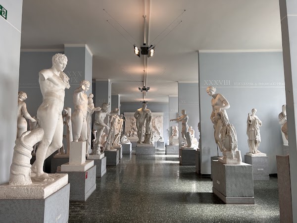 Museum Of Classical Art Sapienza University Of Rome 1
