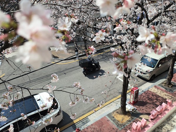 Hapjeong-dong Café Street
