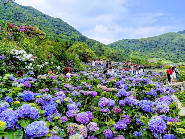 Bamboo Lake 5