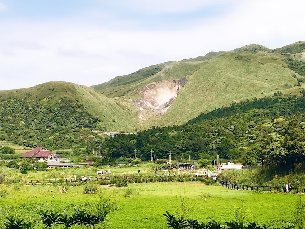 Bamboo Lake 2