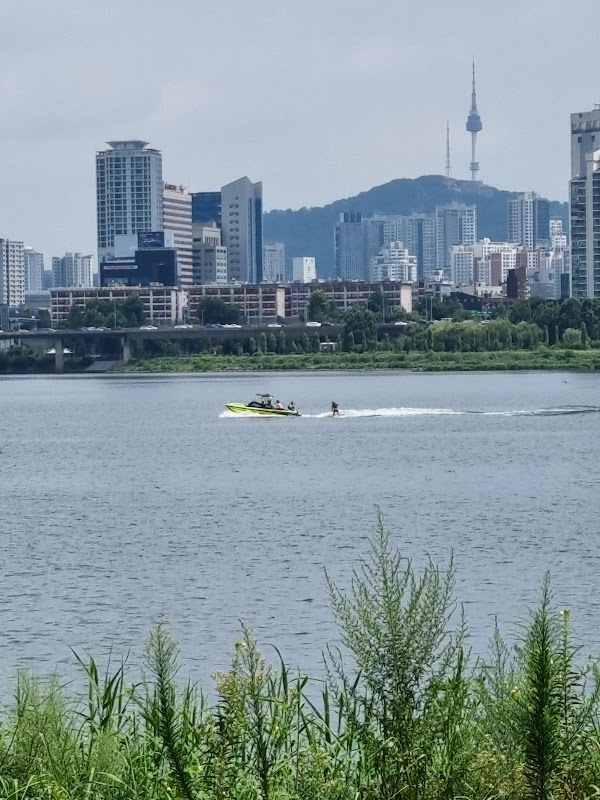 Yeouido Hangang Park 4