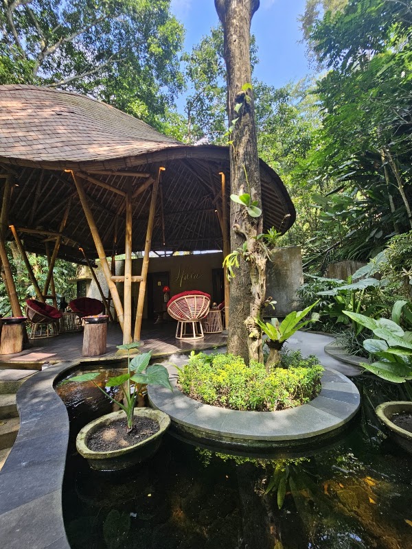 Hara Wellness 1