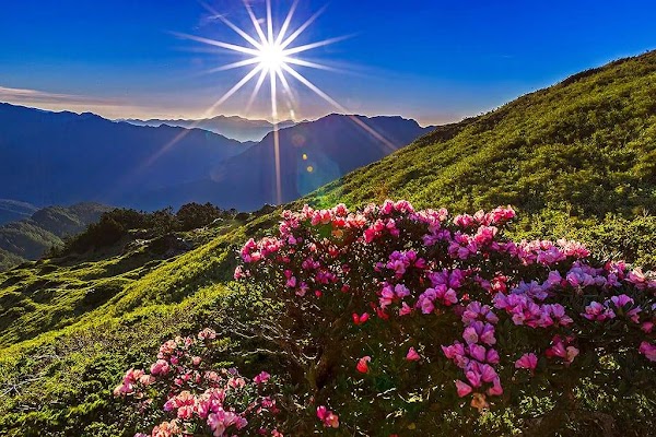 Hehuanshan 2