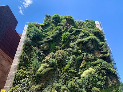 Jardín Vertical Caixaforum